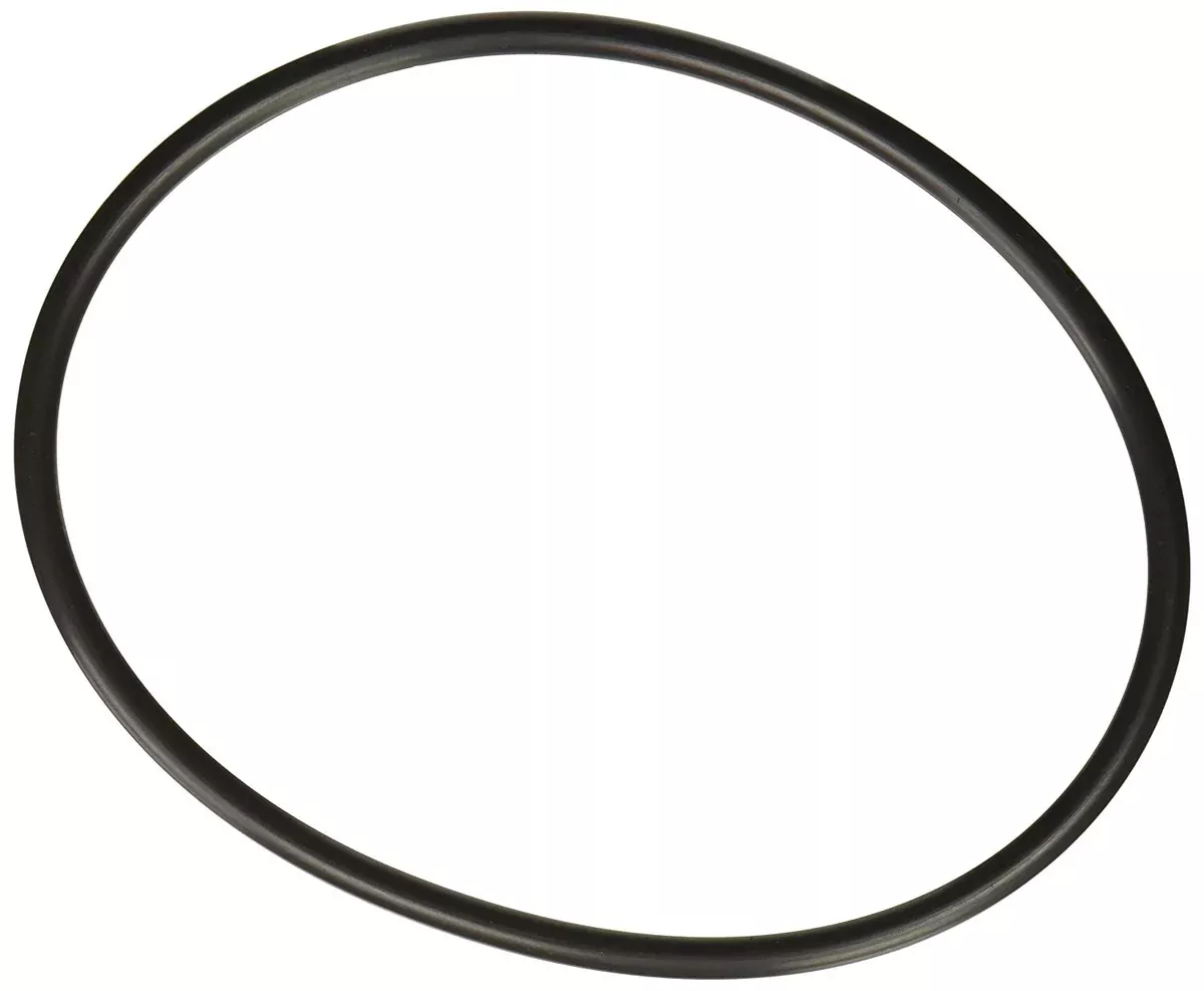APC APCO2017 Brominator Feeder Cover O-Ring