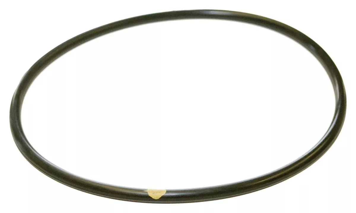 Hayward CLX200K Pool Chlorinator Lid O-Ring for CL200/CL220